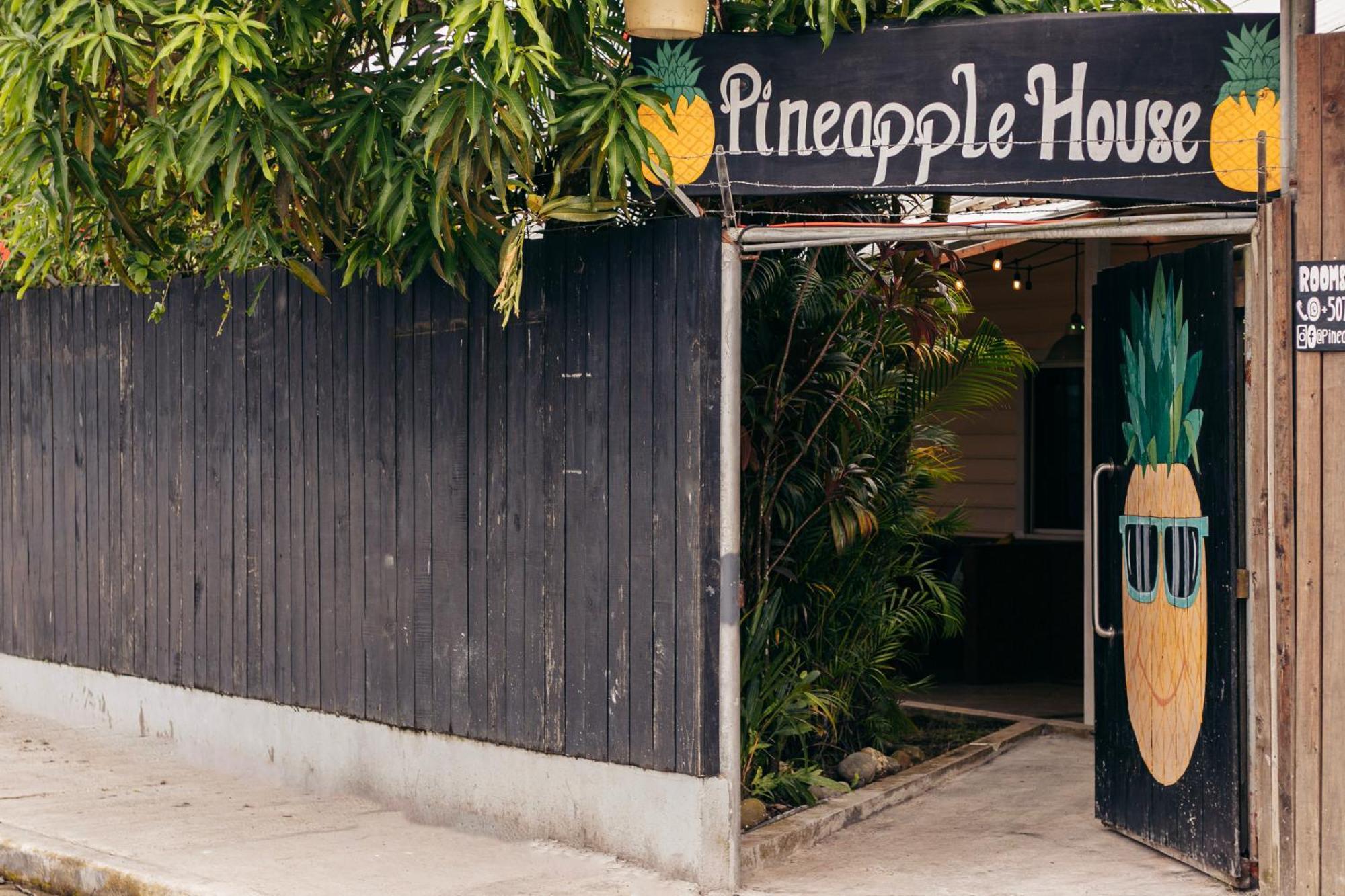 Pineapple House Otel Bocas Town Dış mekan fotoğraf