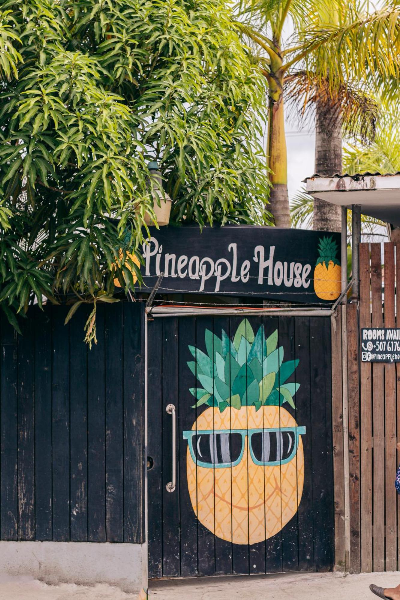 Pineapple House Otel Bocas Town Dış mekan fotoğraf